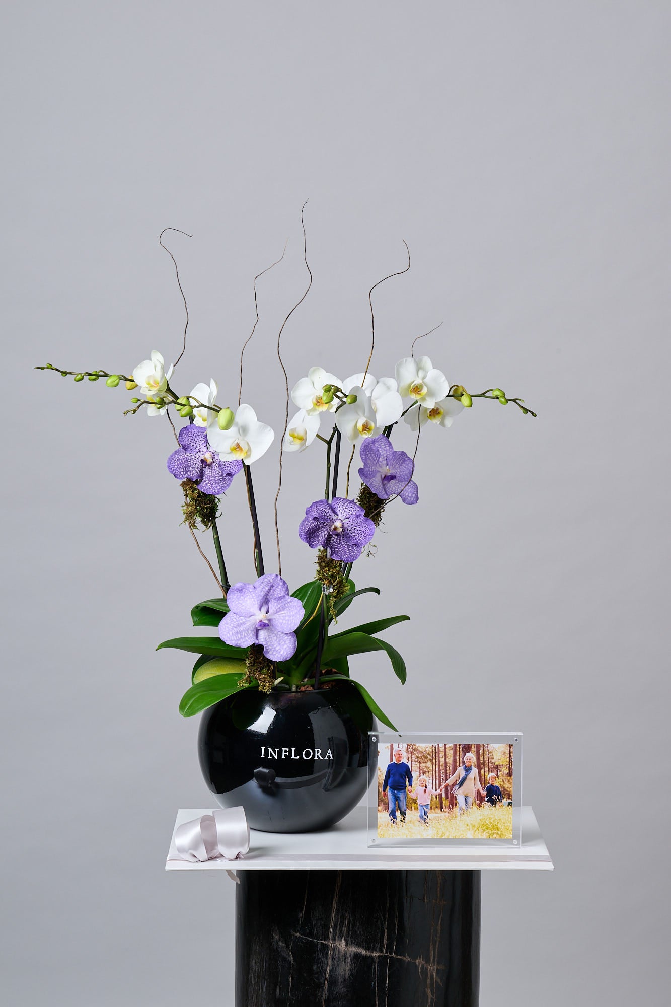 Orquídea Mediana + Vanda + Marco de Acrílico