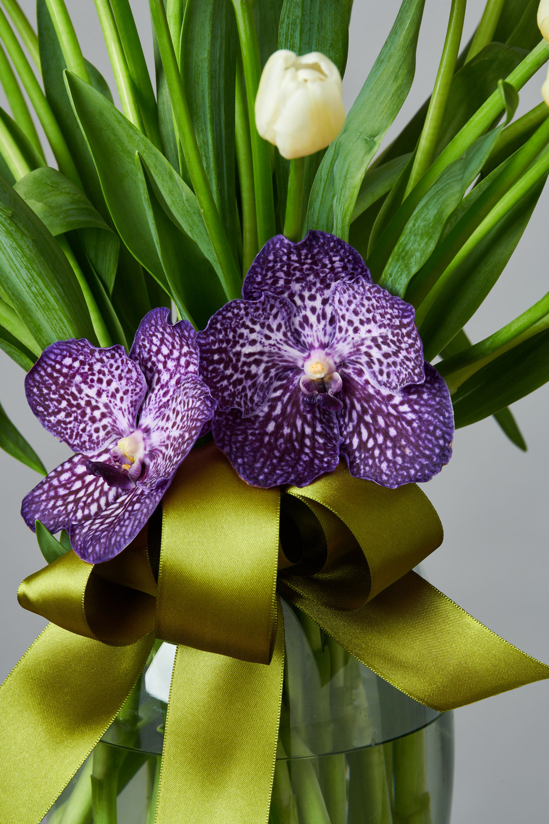 Tulipanes Vanda