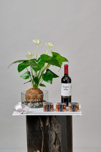 Set Anthurium, Botana, Vino / Tequila