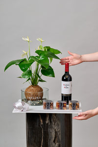 Set Anthurium, Botana, Vino / Tequila