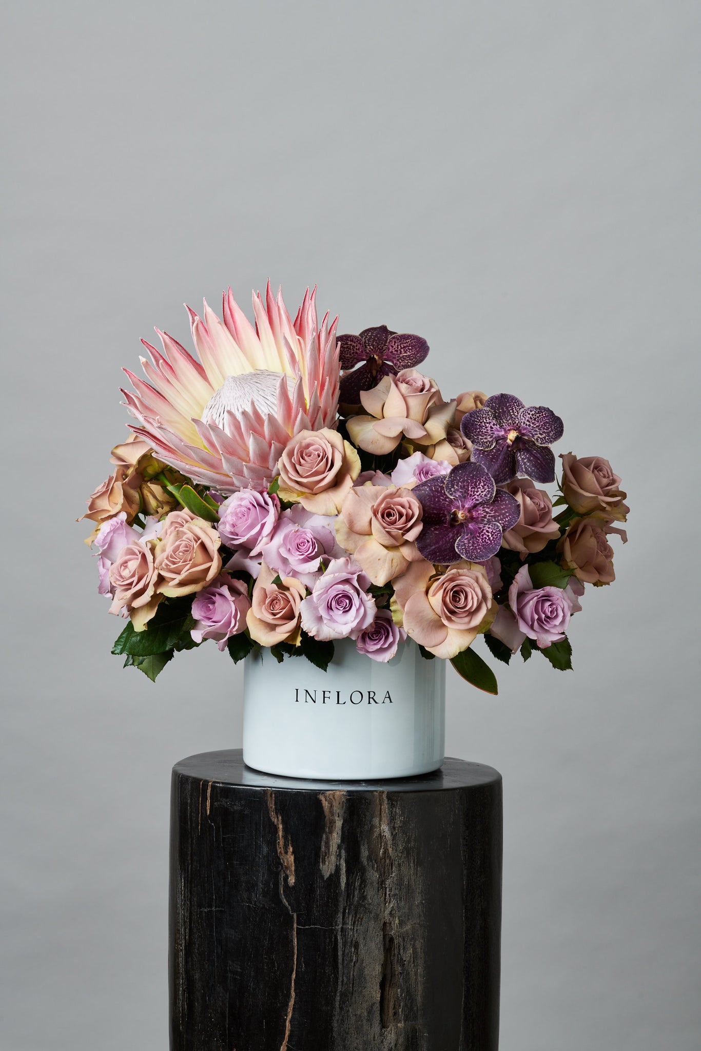 Lilac Protea