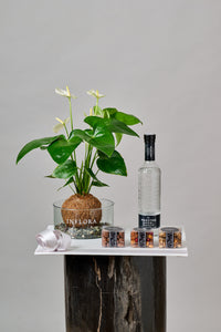 Set Anthurium, Botana, Vino / Tequila