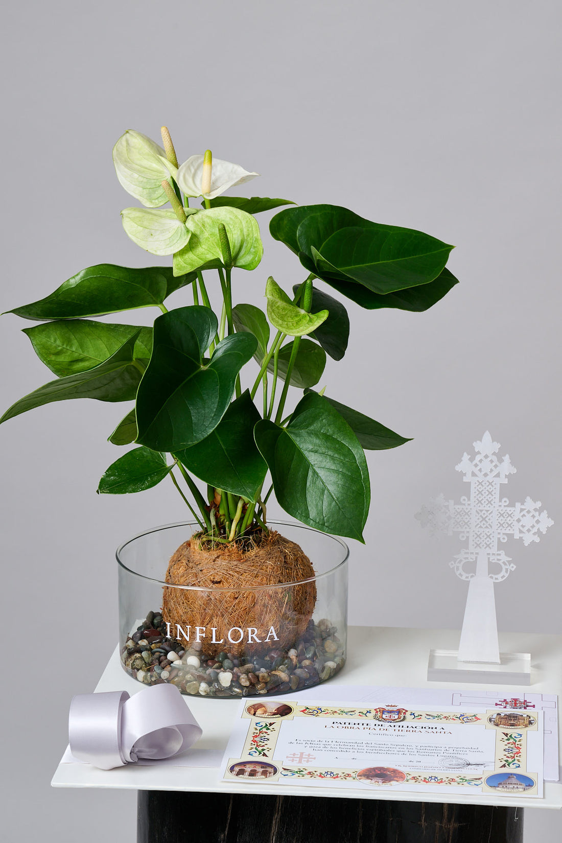 Kokedama Anthurium + Cruz de Acrílico + Misa - Set de Condolencias